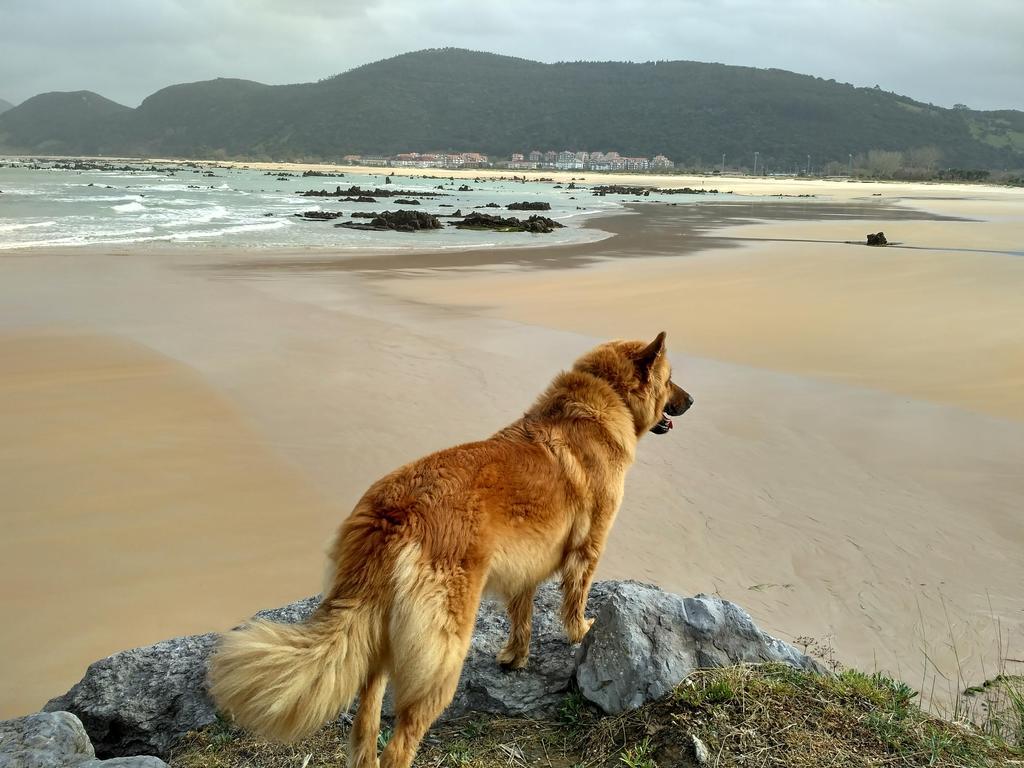 Appartamento La Casona del Carmen Noja Esterno foto